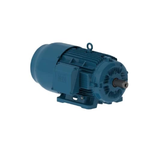 Motor trifasico weg